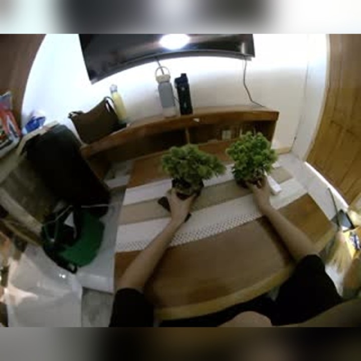 First-person tea table organization with both hands visible